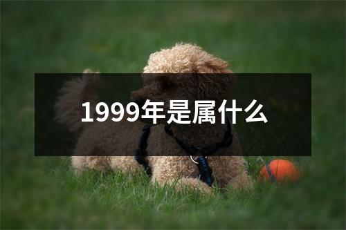 1999年是属什么