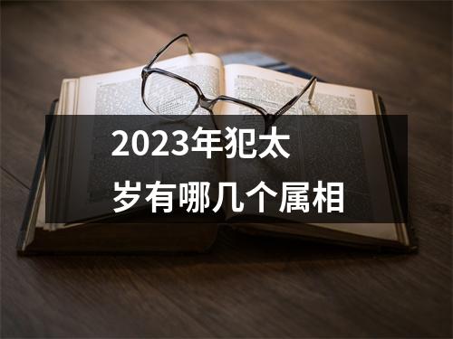 2023年犯太岁有哪几个属相