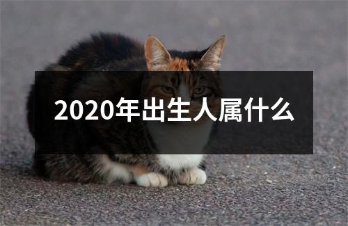 2020年出生人属什么