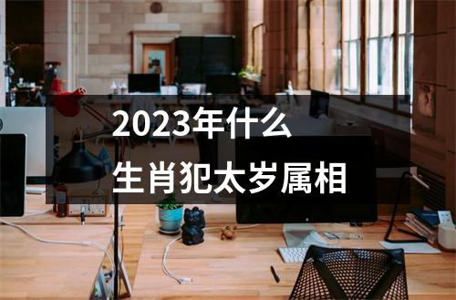 2023年什么生肖犯太岁属相