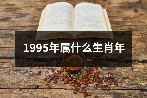 1995年属什么生肖年