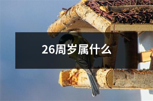 26周岁属什么