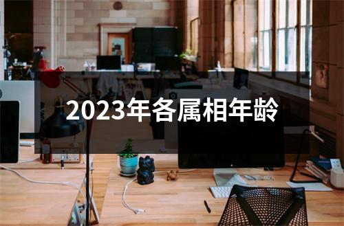 2023年各属相年龄