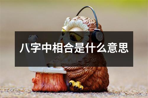 八字中相合是什么意思