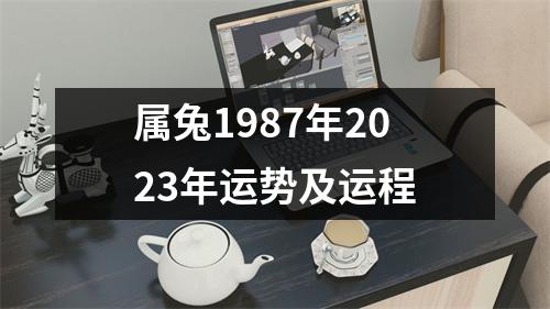 属兔1987年2023年运势及运程