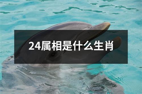 24属相是什么生肖