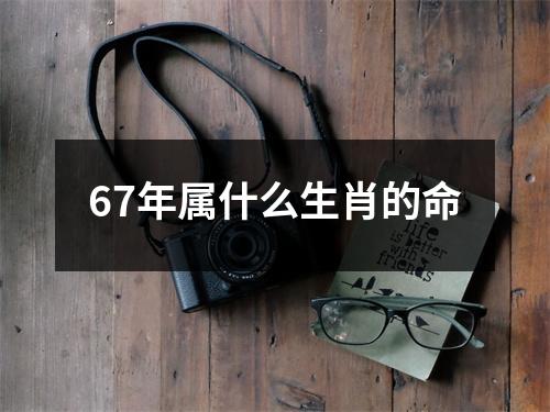 67年属什么生肖的命