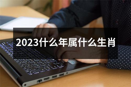 2023什么年属什么生肖