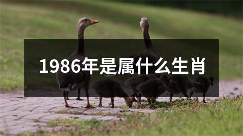 1986年是属什么生肖