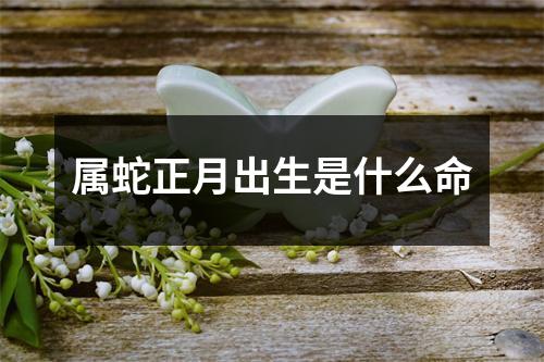 属蛇正月出生是什么命