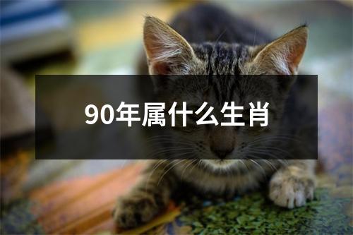 90年属什么生肖