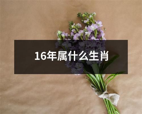 16年属什么生肖