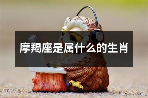 摩羯座是属什么的生肖