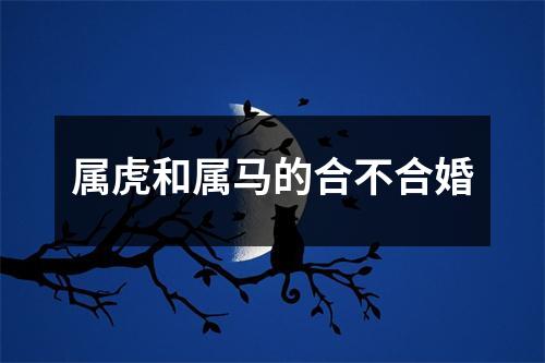 属虎和属马的合不合婚