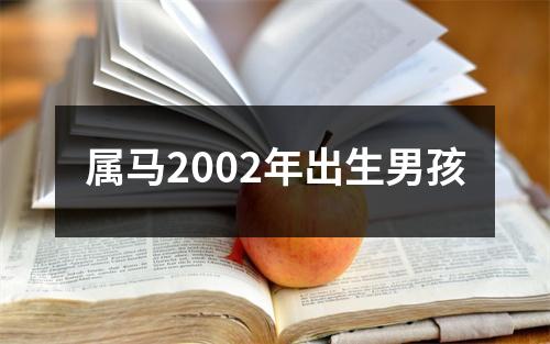 属马2002年出生男孩