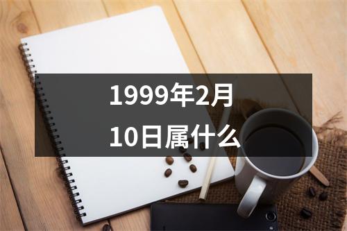 1999年2月10日属什么