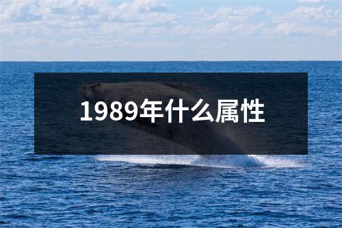 1989年什么属性