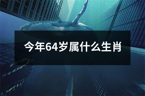 今年64岁属什么生肖