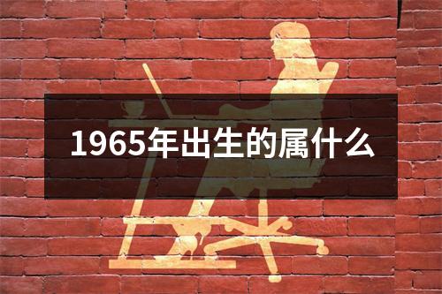 1965年出生的属什么