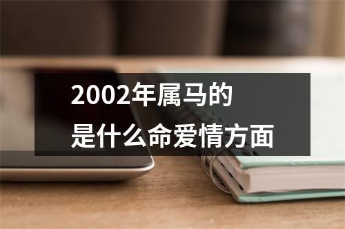 2002年属马的是什么命爱情方面