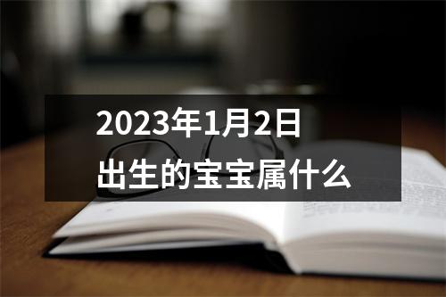 2023年1月2日出生的宝宝属什么