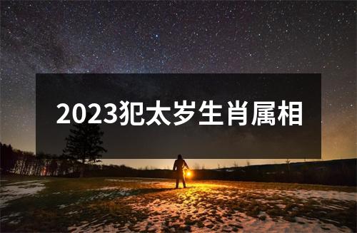 2023犯太岁生肖属相