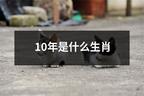 10年是什么生肖