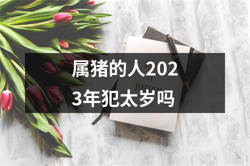 属猪的人2023年犯太岁吗