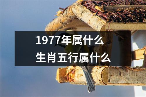 1977年属什么生肖五行属什么