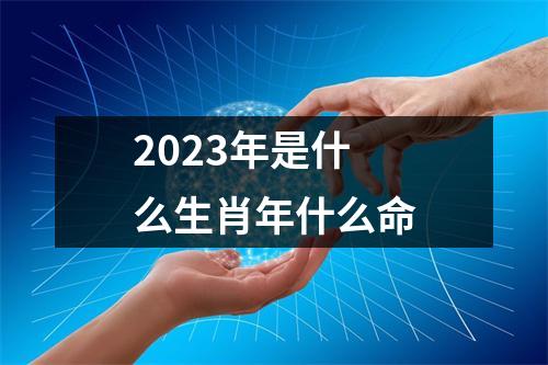 2023年是什么生肖年什么命