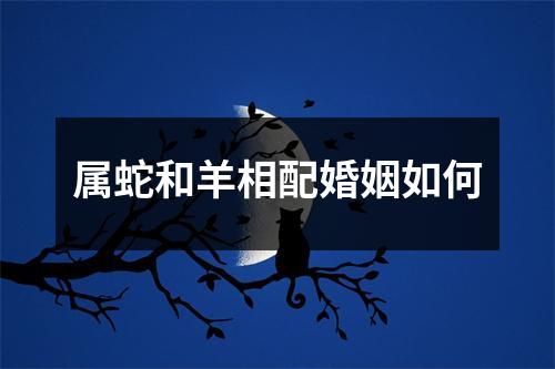 属蛇和羊相配婚姻如何