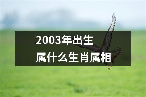 2003年出生属什么生肖属相