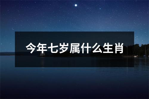 今年七岁属什么生肖