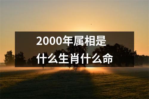 2000年属相是什么生肖什么命