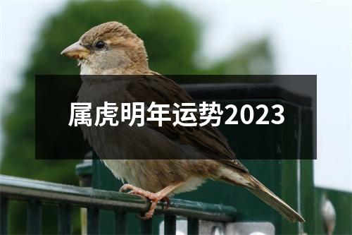 属虎明年运势2023