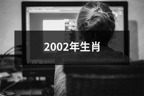 2002年生肖