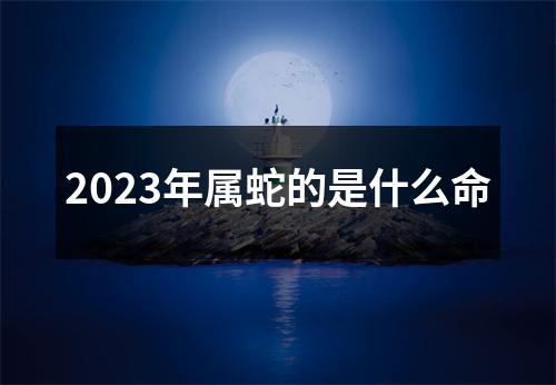 2023年属蛇的是什么命