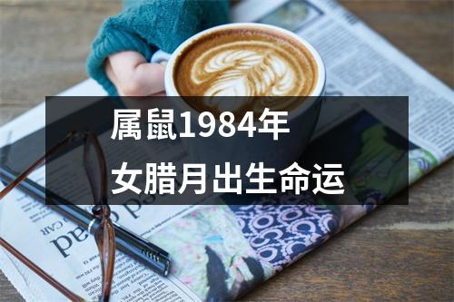 属鼠1984年女腊月出生命运