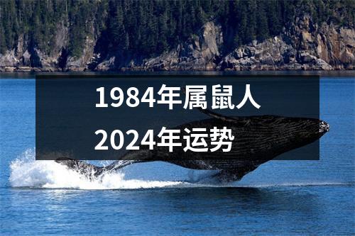 1984年属鼠人2024年运势