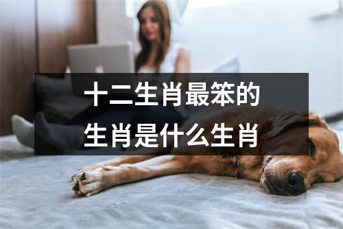 十二生肖最笨的生肖是什么生肖