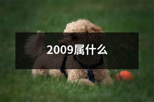 2009属什么