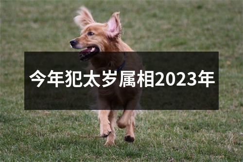 今年犯太岁属相2023年