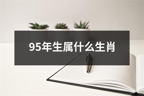 95年生属什么生肖