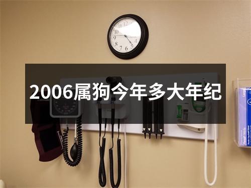 2006属狗今年多大年纪