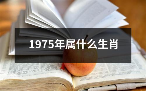 1975年属什么生肖