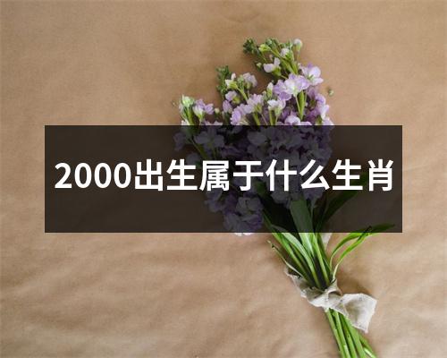 2000出生属于什么生肖