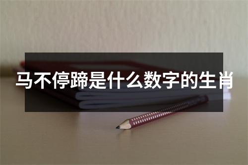 马不停蹄是什么数字的生肖