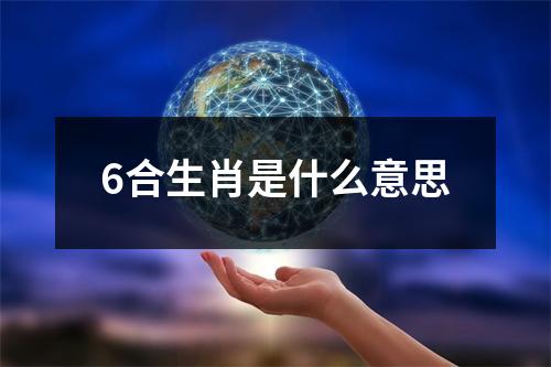 6合生肖是什么意思