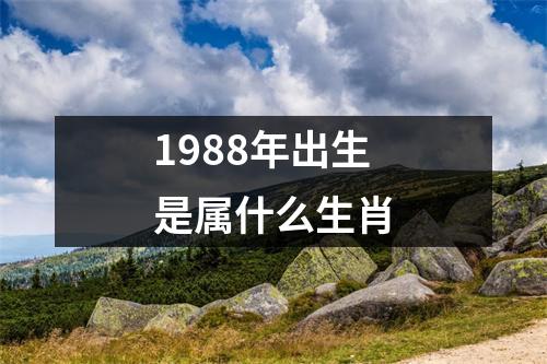 1988年出生是属什么生肖