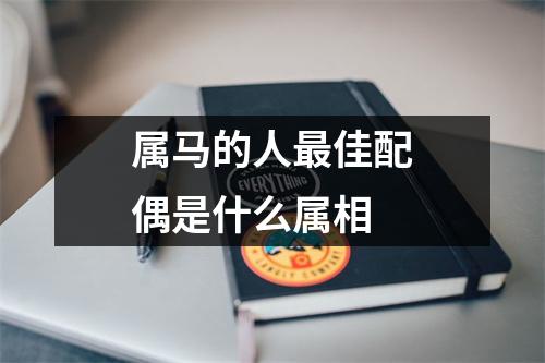 属马的人最佳配偶是什么属相